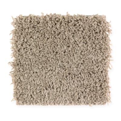 Precious Expression in Winter Leaf - Carpet by Mohawk Flooring