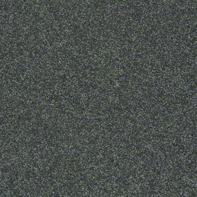 Bright Idea II in Emerald Coast - Carpet by Shaw Flooring