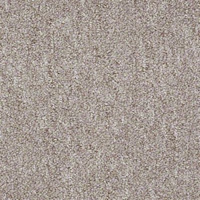 Winchester 26 in Desert Dune - Carpet by Shaw Flooring