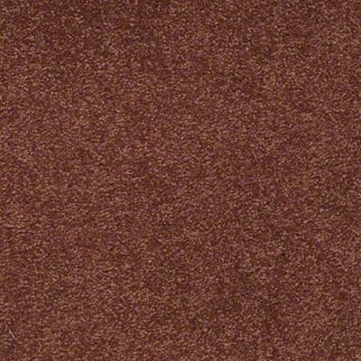 Sandy Hollow I 12' in Spanish Tile - Carpet by Shaw Flooring