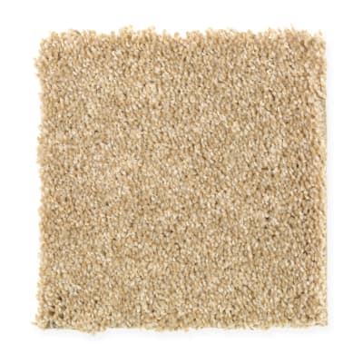 Harmony in Radiance - Carpet by Mohawk Flooring