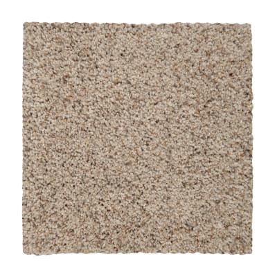 Calming State in Harmony - Carpet by Mohawk Flooring