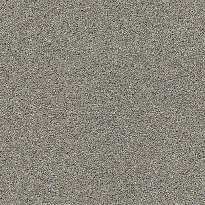 Acadia Park in Elusive - Carpet by Shaw Flooring