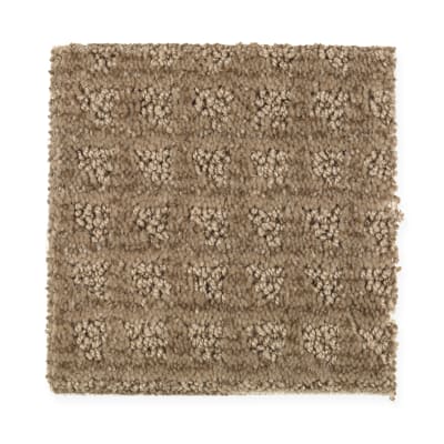 Outside The Box in Fig Tree - Carpet by Mohawk Flooring