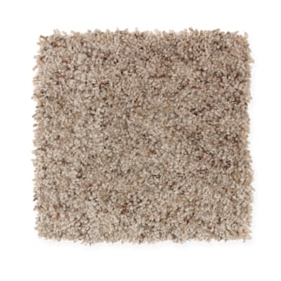 Color Reflection in Tender Brown - Carpet by Mohawk Flooring