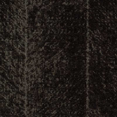 Highbrow in Potting Soil - Carpet by Mohawk Flooring