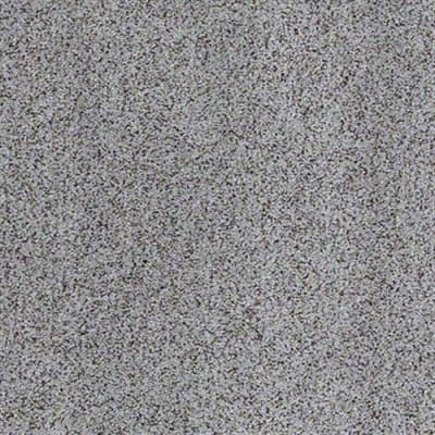 All There in Silver Fox - Carpet by Shaw Flooring