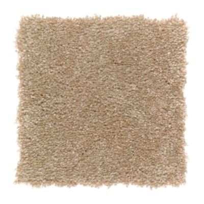 Energetic Style in Harmonious - Carpet by Mohawk Flooring