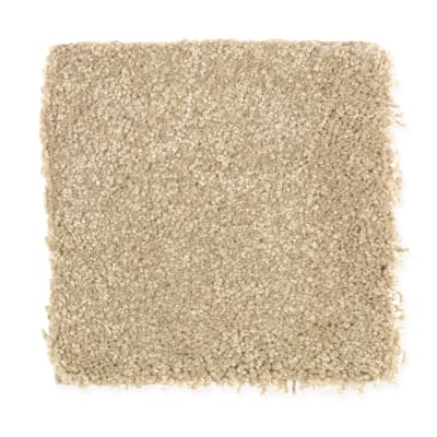 Beach Club IV in Carved Wood - Carpet by Mohawk Flooring