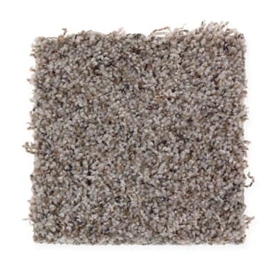 Delicate Embrace in Shadow Taupe - Carpet by Mohawk Flooring