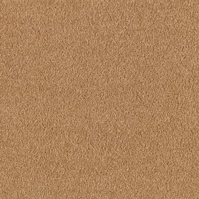 Maison in Harvest Bounty - Carpet by Mohawk Flooring