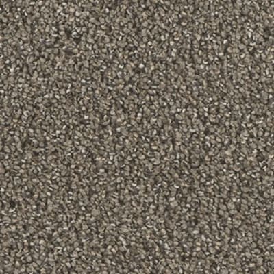 Remarkable II in Veranda - Carpet by Engineered Floors