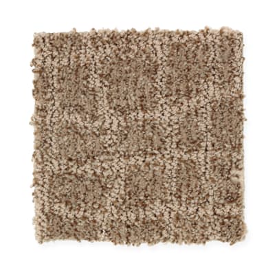 Earthen Appeal in Wagon Trail - Carpet by Mohawk Flooring