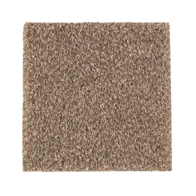 Relaxed Mood in Woodland - Carpet by Mohawk Flooring