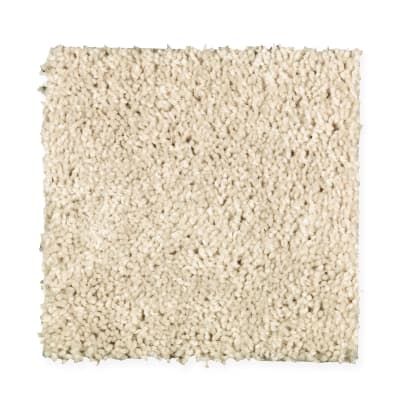 Basic Instinct in Face Powder - Carpet by Mohawk Flooring
