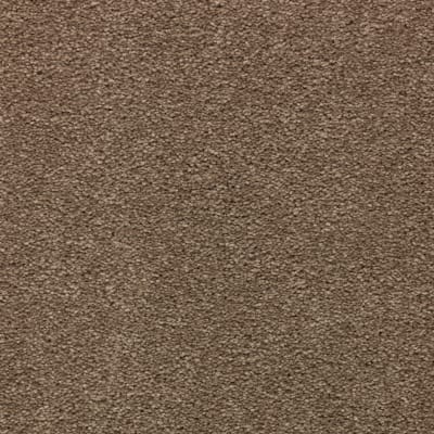 Striking Option in Timberlane - Carpet by Mohawk Flooring