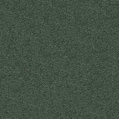 Style Renewal in Mellow Moss - Carpet by Mohawk Flooring
