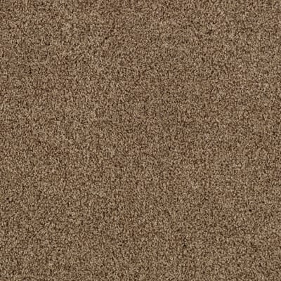 Gentle Embrace in Chocolate Swirl - Carpet by Mohawk Flooring