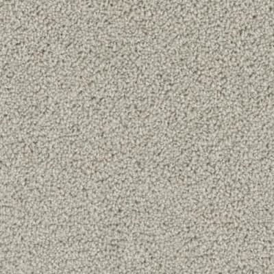 Ovation in Token - Carpet by Phenix Flooring