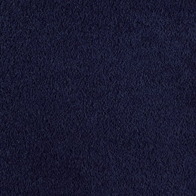 Bright Future in Night Navy - Carpet by Mohawk Flooring
