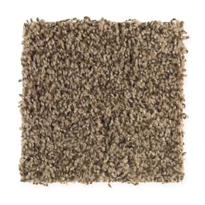 Thriller in Timberline - Carpet by Mohawk Flooring