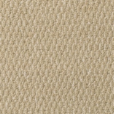 New Spin in Gobi - Carpet by Mohawk Flooring