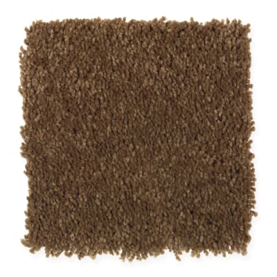 Favorite Color in Saddlery - Carpet by Mohawk Flooring