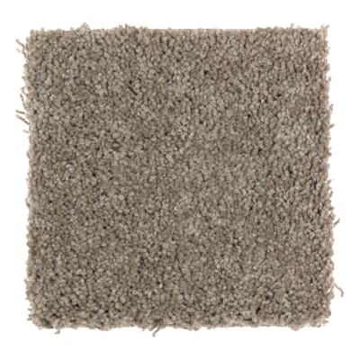 Easy Option in Fallen Timber - Carpet by Mohawk Flooring