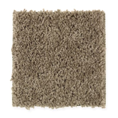 Splurge in Winter Garden - Carpet by Mohawk Flooring
