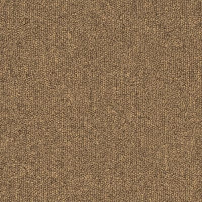 Salisbury 26 in Camel - Carpet by Engineered Floors