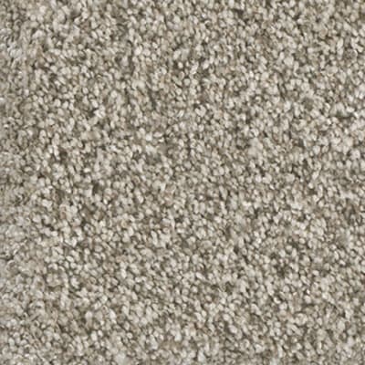 Knockout I in Seashells - Carpet by Engineered Floors