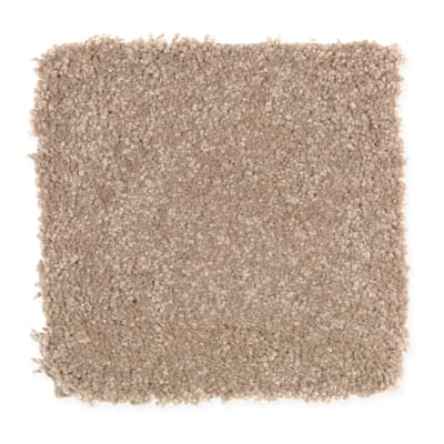 Beach Club IV in Dried Sage - Carpet by Mohawk Flooring