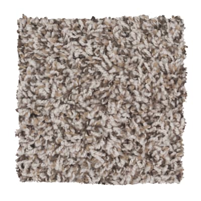 The Right Stuff in Uptown Taupe - Carpet by Mohawk Flooring