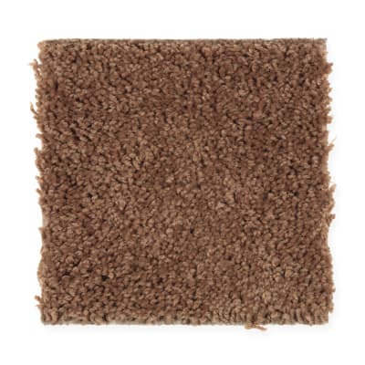 Living Legacy in Copper Penny - Carpet by Mohawk Flooring