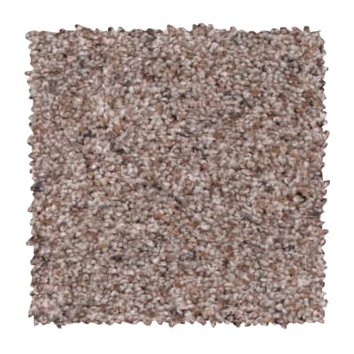Earthly Details I in Rocky Ridge - Carpet by Mohawk Flooring