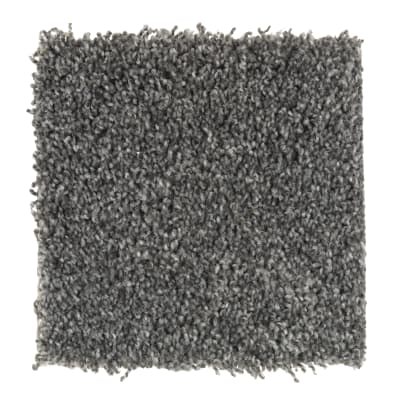 Fabric Of Life in Ebony Field - Carpet by Mohawk Flooring