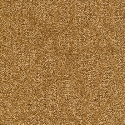 Modern Aesthetic in Lavish MIX - Carpet by Mohawk Flooring