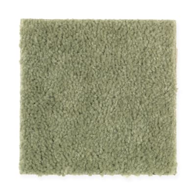 Everyday Living in Spring Grass - Carpet by Mohawk Flooring