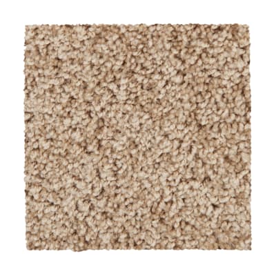 Traditional Allure in Apple Butter - Carpet by Mohawk Flooring