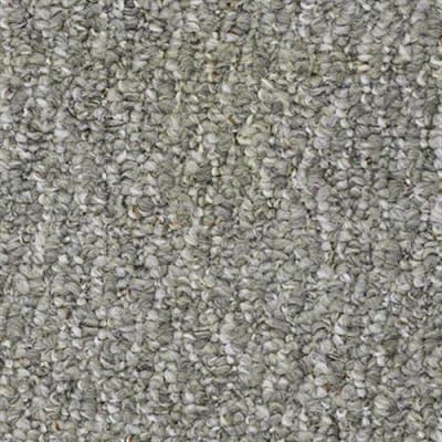 Ashleybrookii12 in Aspen Mist - Carpet by Shaw Flooring