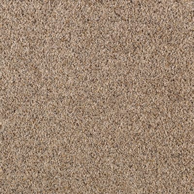 Amazing Approach in Toasty Pecan - Carpet by Mohawk Flooring