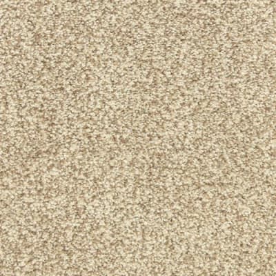 Dawn's Delight in Acorn - Carpet by The Dixie Group