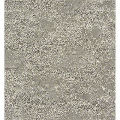 Tavares in Shalestone - Carpet by Shaw Flooring