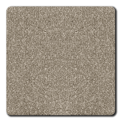 Magic Moment in True Gray - Carpet by Revolution Mills