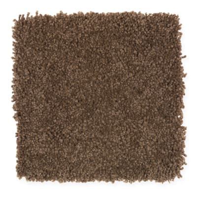 Coastal Path II in Native Soil - Carpet by Mohawk Flooring