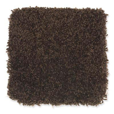 Beach Club IV in Black Walnut - Carpet by Mohawk Flooring