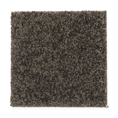 Artful Eye in Dark Forest - Carpet by Mohawk Flooring