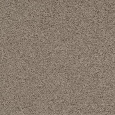 Artisan Delight in Druid - Carpet by Mohawk Flooring