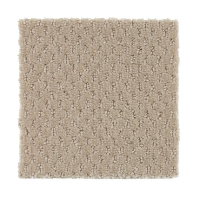 Star Performer in Dakota - Carpet by Mohawk Flooring