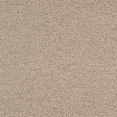 Artisan Delight in Atrium - Carpet by Mohawk Flooring